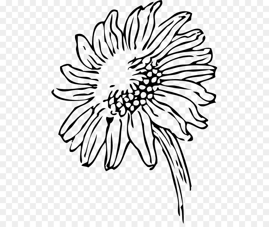 Line art Gemeinsame Sonnenblume clipart - andere