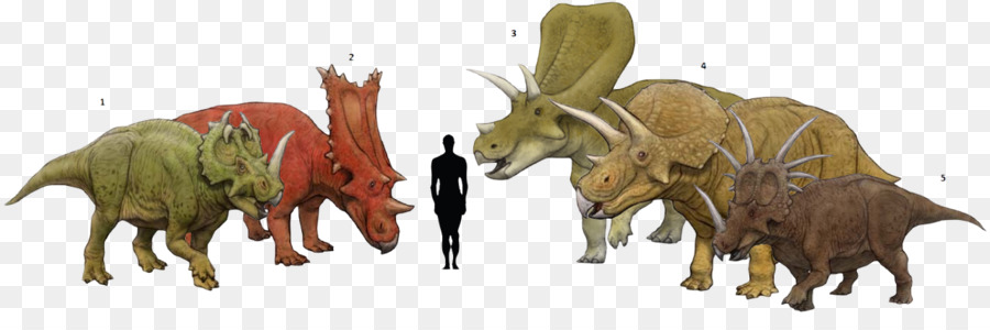 Torosaurus Centrosaurus Triceratops Chasmosaurus Styracosaurus - andere