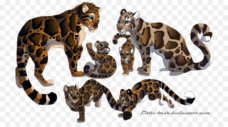 Leopardo nebuloso Puma, Tiger Felidae - leopardo