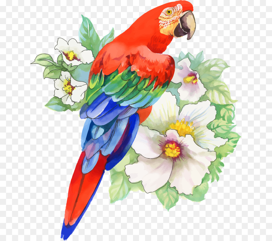 Vogel Papagei Zeichnung-Aquarell-Malerei - Vogel