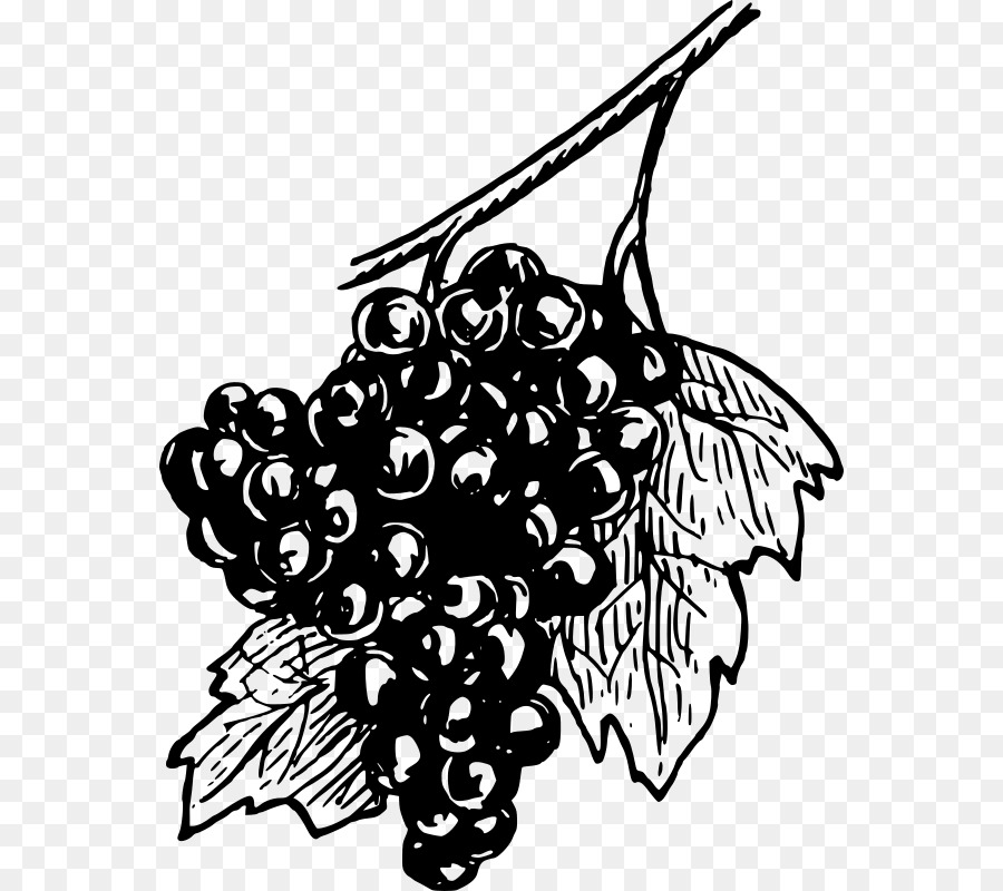 Comune di Uva, Vite, uva da Vino Clip art - vino