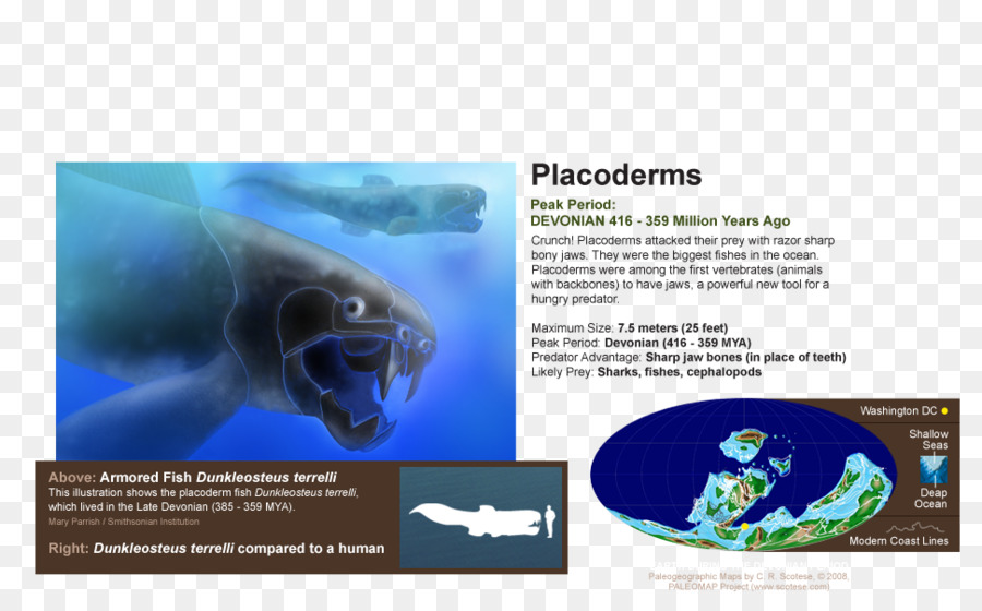 Marine-Biologie-Brand-Broschüre - Natur Meer Tiere marine Mikroorganismen