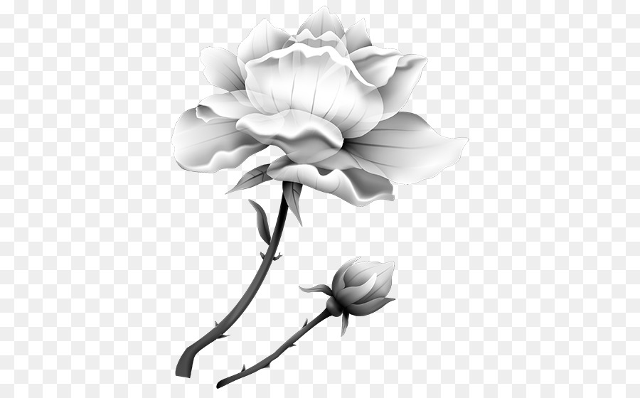 Hoa hồng trong vườn Hoa Rau Clip nghệ thuật - hoa