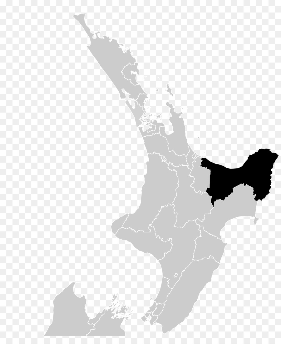 Mappa Vettoriale Di Auckland Gisborne - mappa