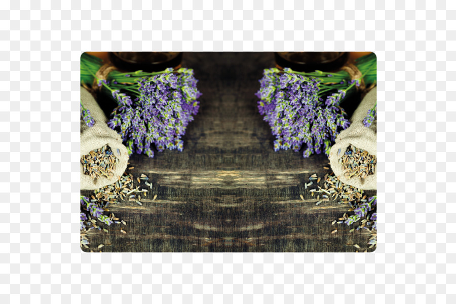Englischer Lavendel Ätherisches öl Massage-Blume - öl
