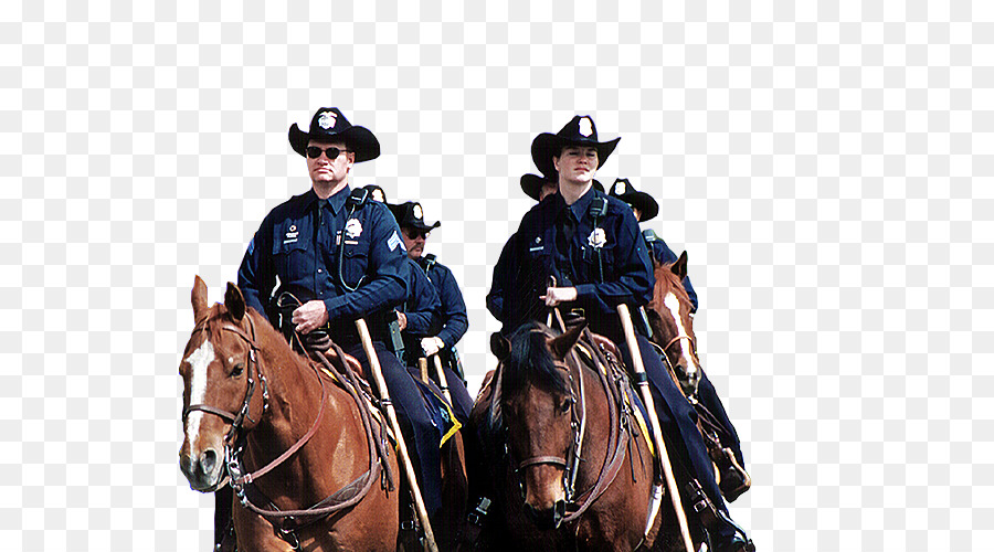 Pferd Denver Polizei Schutzgemeinschaft Rein Berittene Polizei - Pferd