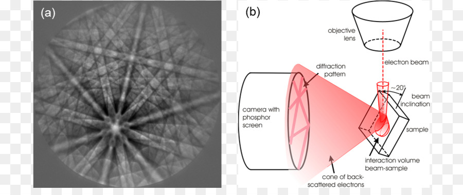 Elettrone fenomeno di diffrazione Kikuchi linea di Bragg legge di Cristallografia microscopio elettronico a Scansione - altri