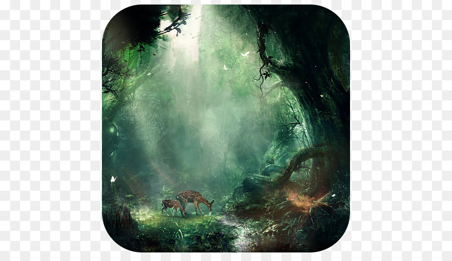 Fantasy-Wald Desktop Wallpaper Wallpaper - Wald