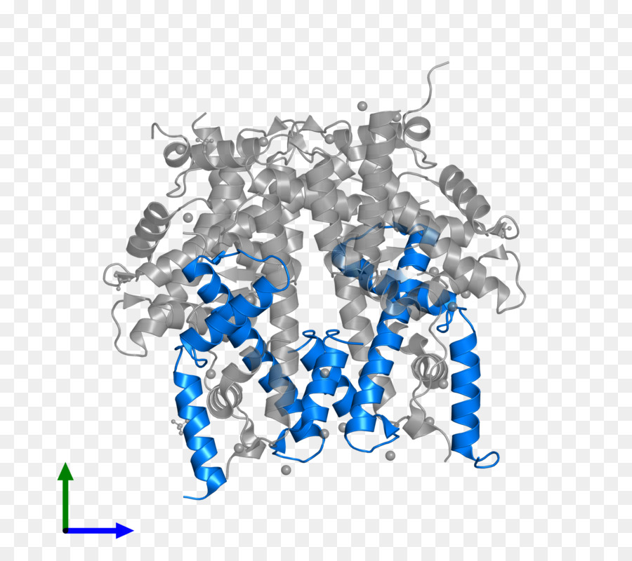 Istone H4 Proteine dell'Istone octamer HIST1H4F - altri