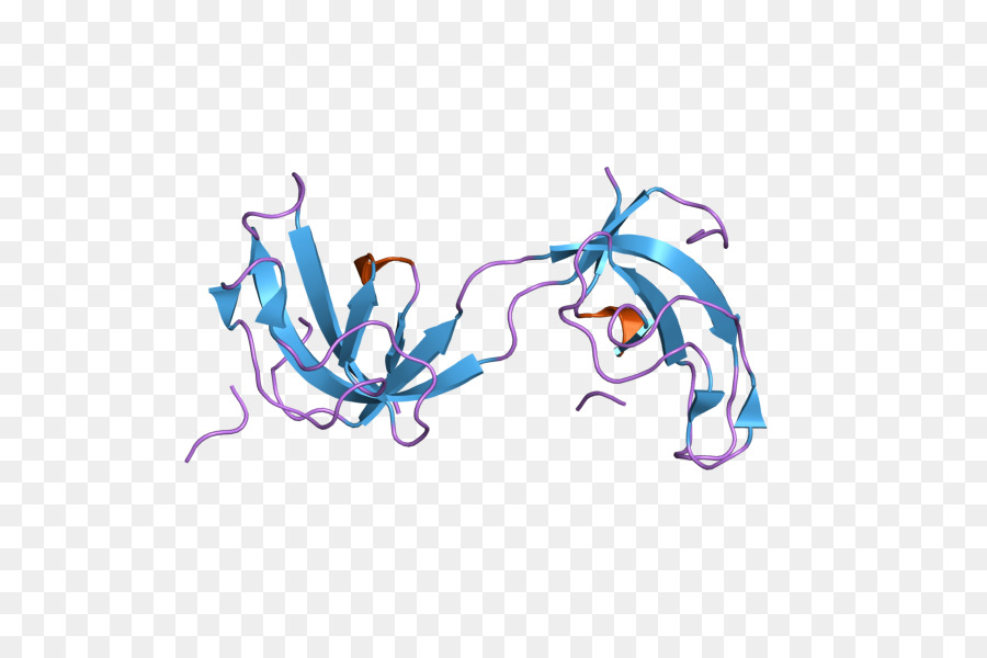 Dynactin DCTN1 Protein-Untereinheit Kunst - andere
