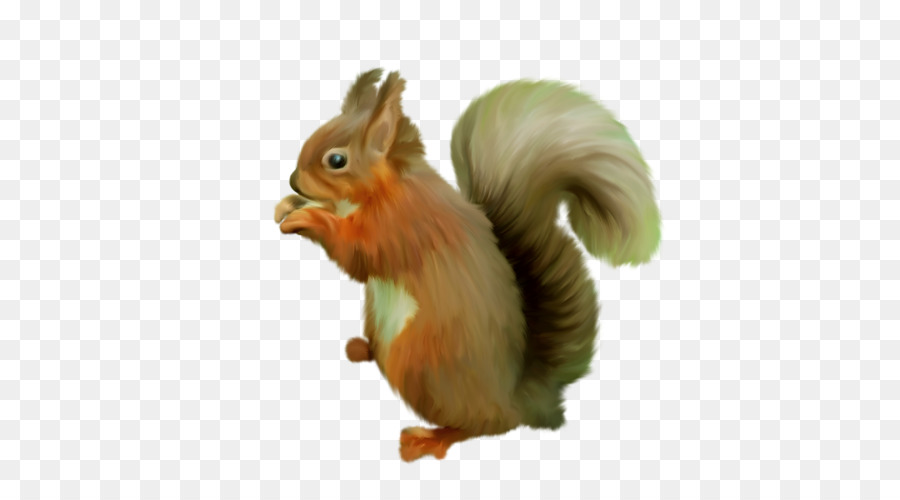 Albero scoiattolo GIMP - scoiattolo