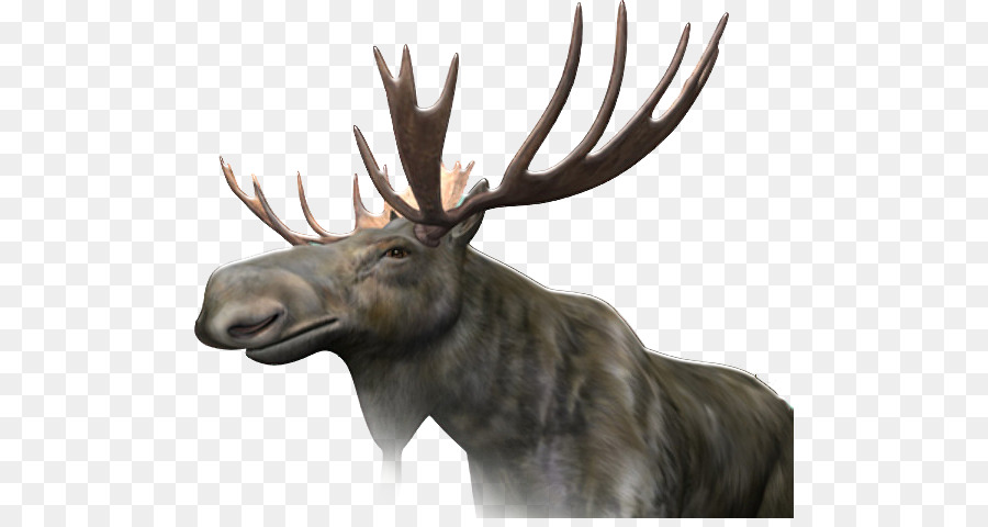 Moose clipart - andere