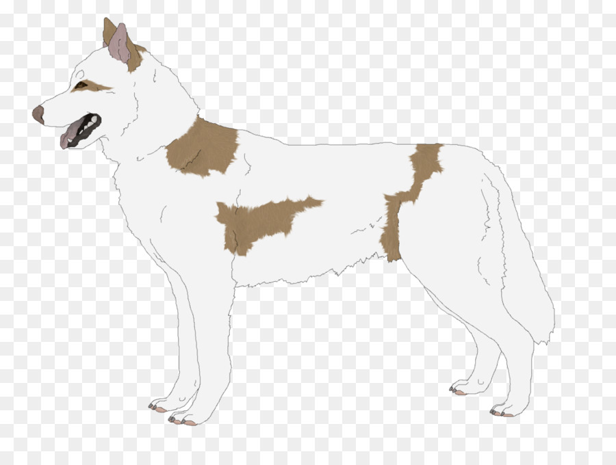 Siberian Husky Saarloos lupo cecoslovacco cane lupo Cecoslovacco Canaan Dog East Siberian Laika - altri