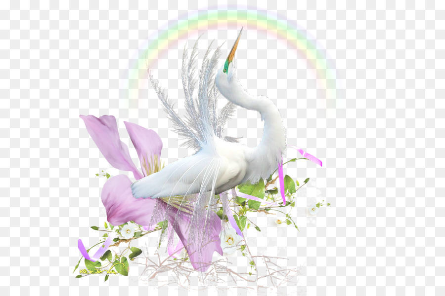 Wasser-Vogel Schnabel Desktop Hintergrundbild - Vogel