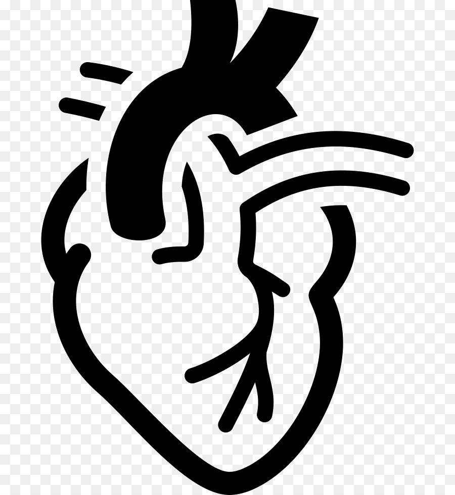 Kardiologie Elektrokardiographie Medizin Herz-Hämodynamik - Herz