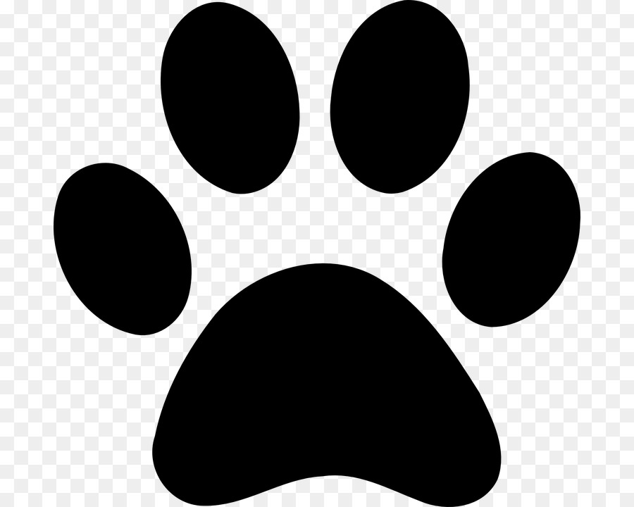 Dog paw print scribble drawing: Graphic #222830389