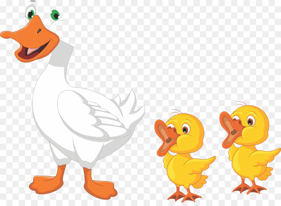 Duck Cartoon png download - 1600*1153 - Free Transparent Duck png Download.  - CleanPNG / KissPNG