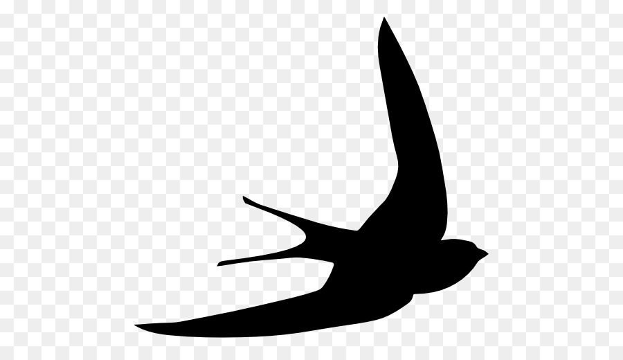 Uccello di Rondine rondone Comune Swiftlet Forma - uccello