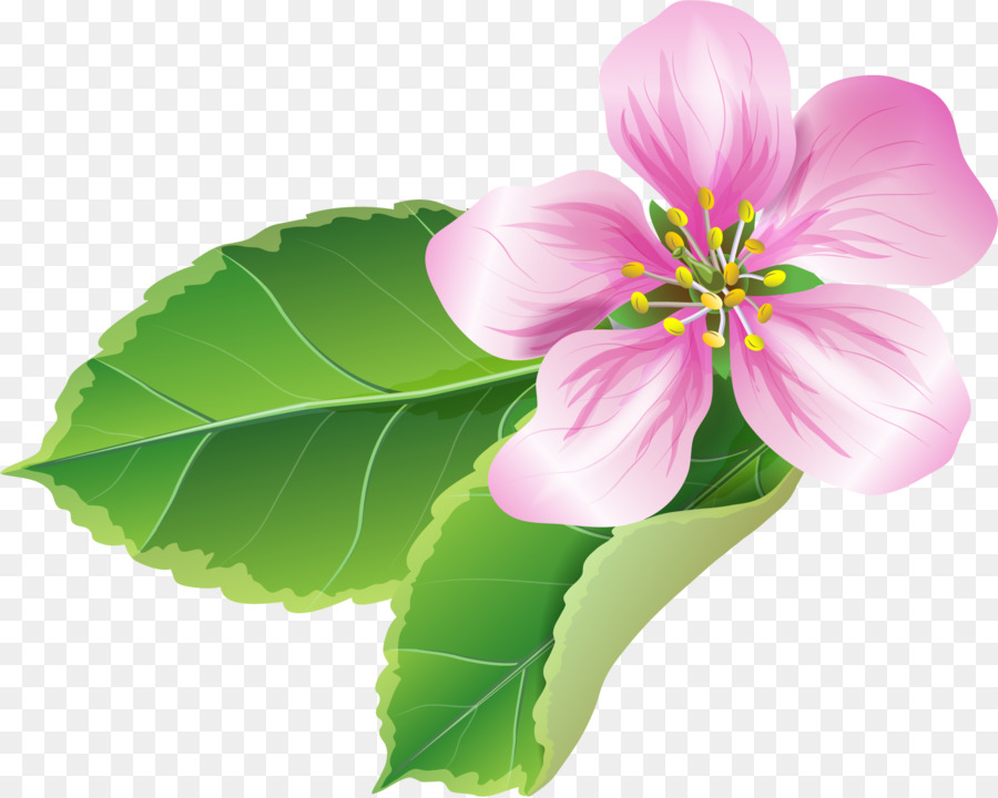 Hoa Giấy Vẽ Clip nghệ thuật - hoa