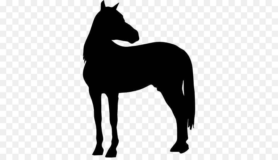 Icone Del Computer Cavallo - cavallo