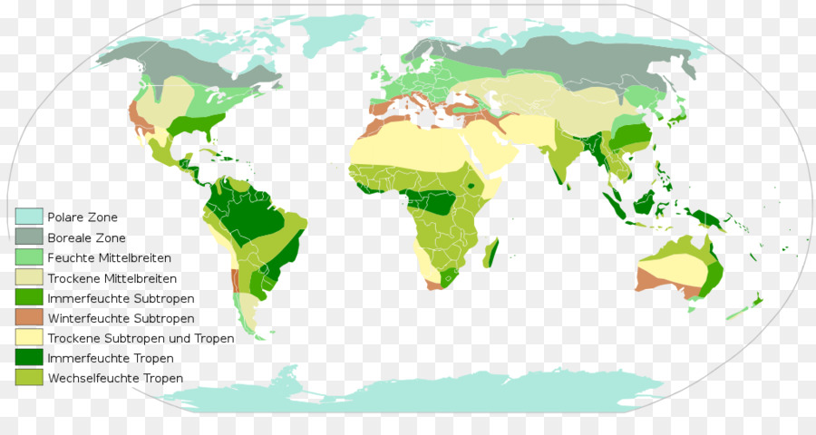 Mappa del mondo Biogeografica regno - mappa del mondo