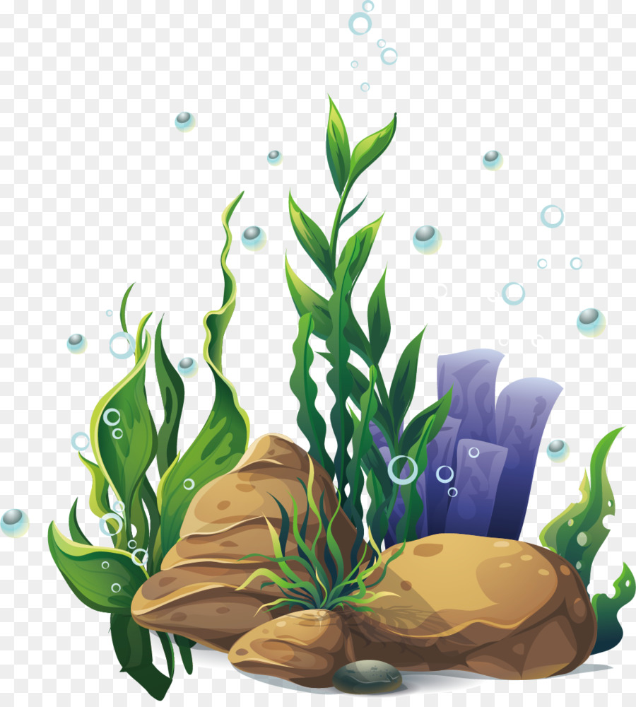 Wasserpflanzen Cartoon - andere
