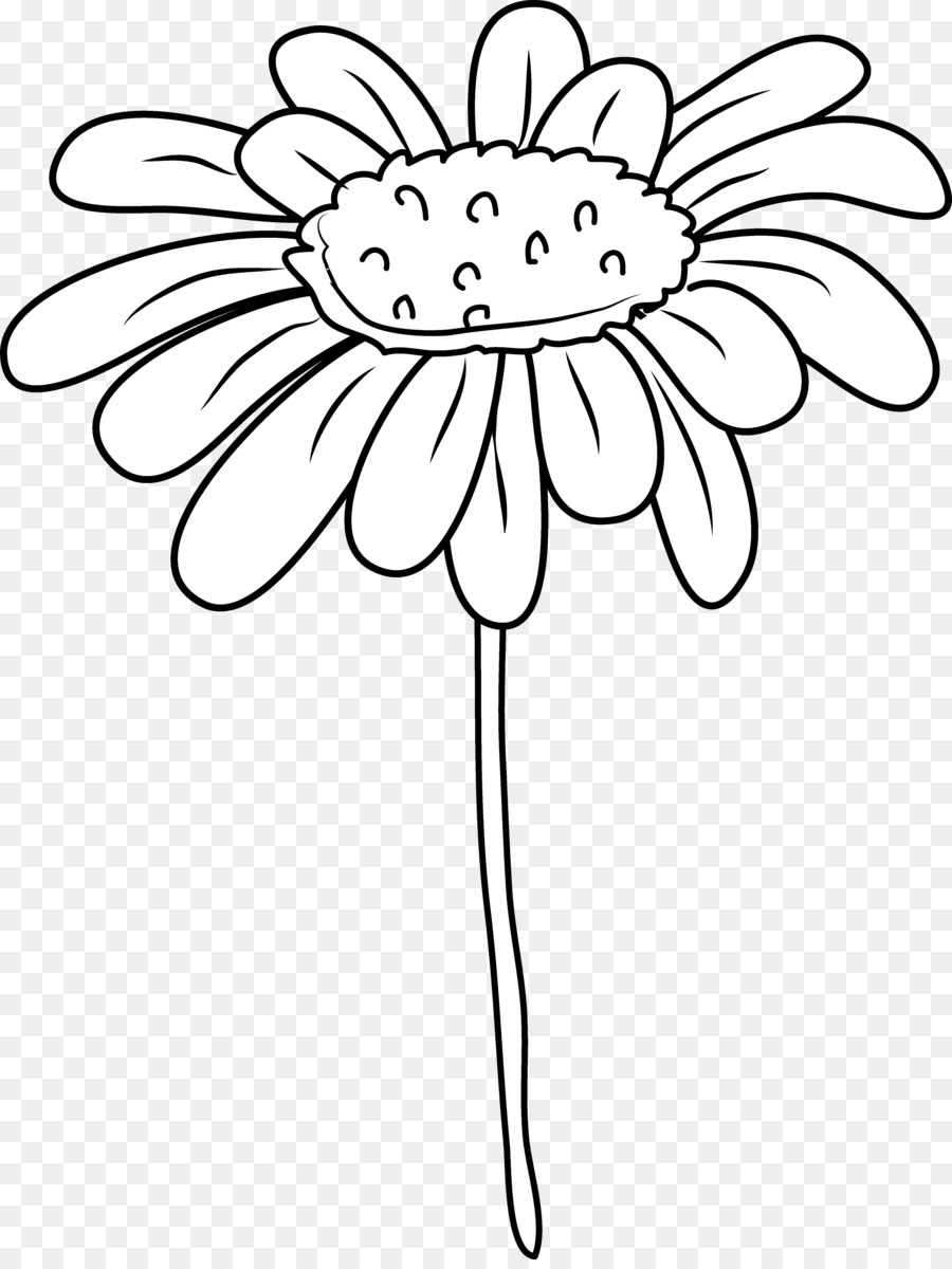 Zeichnung Common daisy Clip art - andere