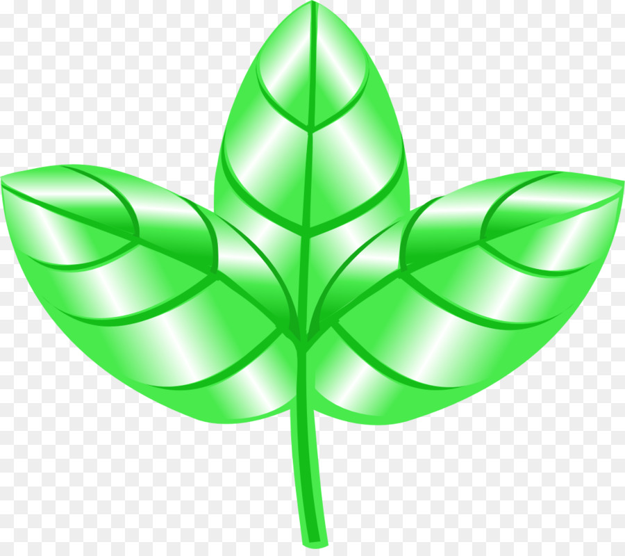 Blatt, Pflanze, Stängel, Symmetrie-Symbol - Blatt