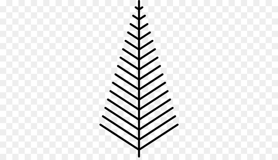 Weihnachtsbaum Kiefer - Weihnachtsbaum