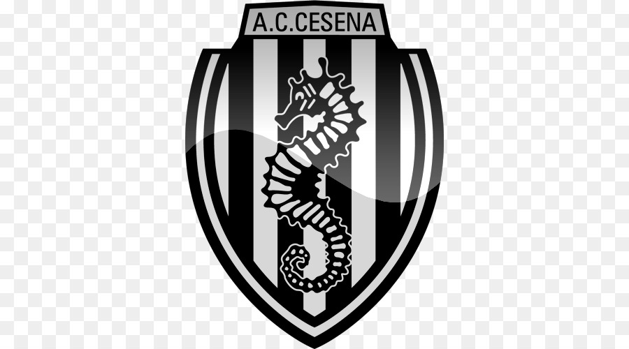 A. C. Cesena under 19 Venedig, FC, Brescia calcio Football - Fußball