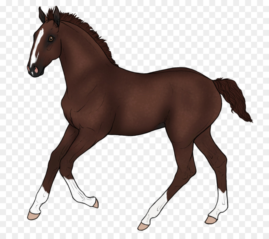 Mustang Ngựa Con Ngựa Mare Kiềm - mustang