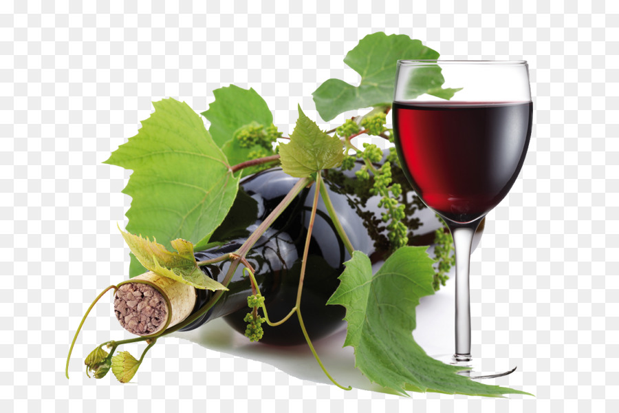 Vino rosso Riesling Bianco vino Amarone - vino