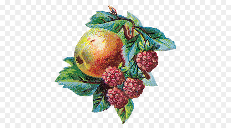 Berry Auglis Fruit Tutti i frutti clip art - vegetale