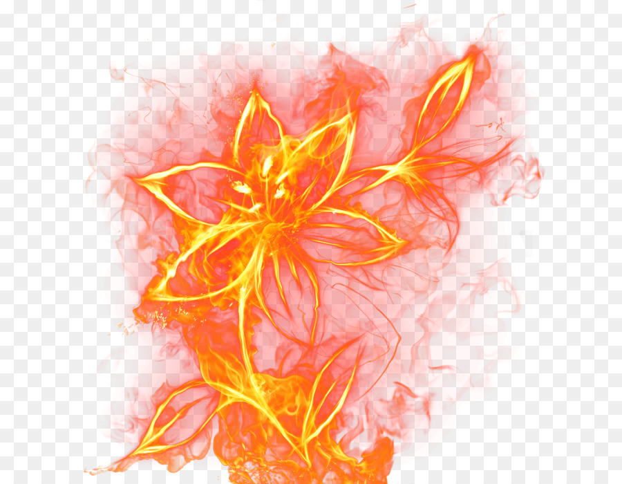Blume Rose Feuer Flamme-clipart - Blume