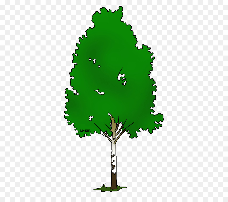 Papier Birke Silver birch Tree Clip art - Baum