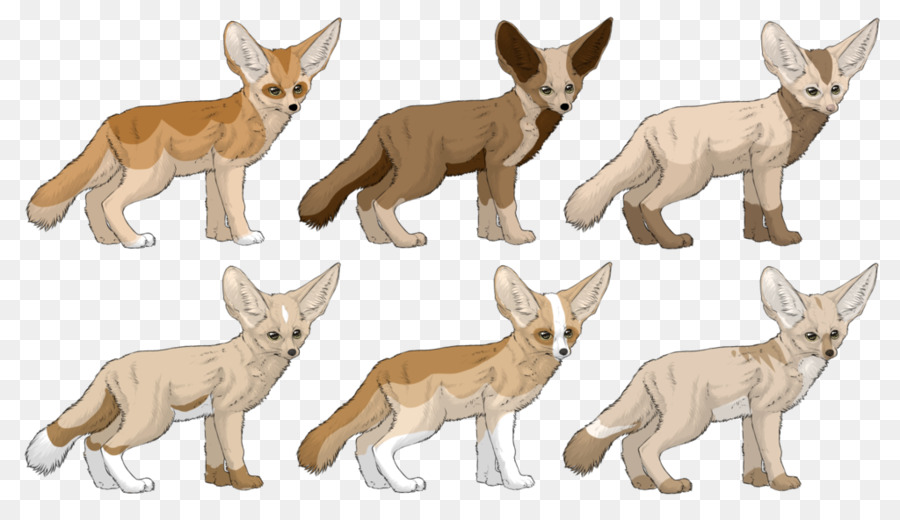 Red fox, Schakal, Hund, Rasse - Hund