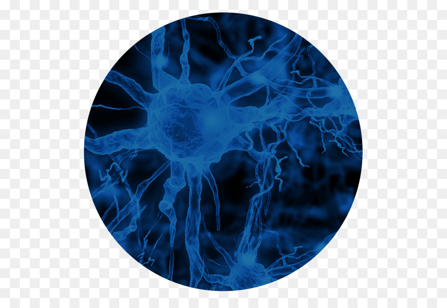 Periphere Neuropathie Gehirn bei Neuropathischen Schmerzen Medizin Nerven - Gehirn