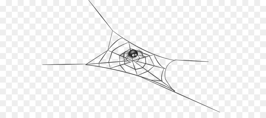 Spinnennetz Zeichnung - Spinne