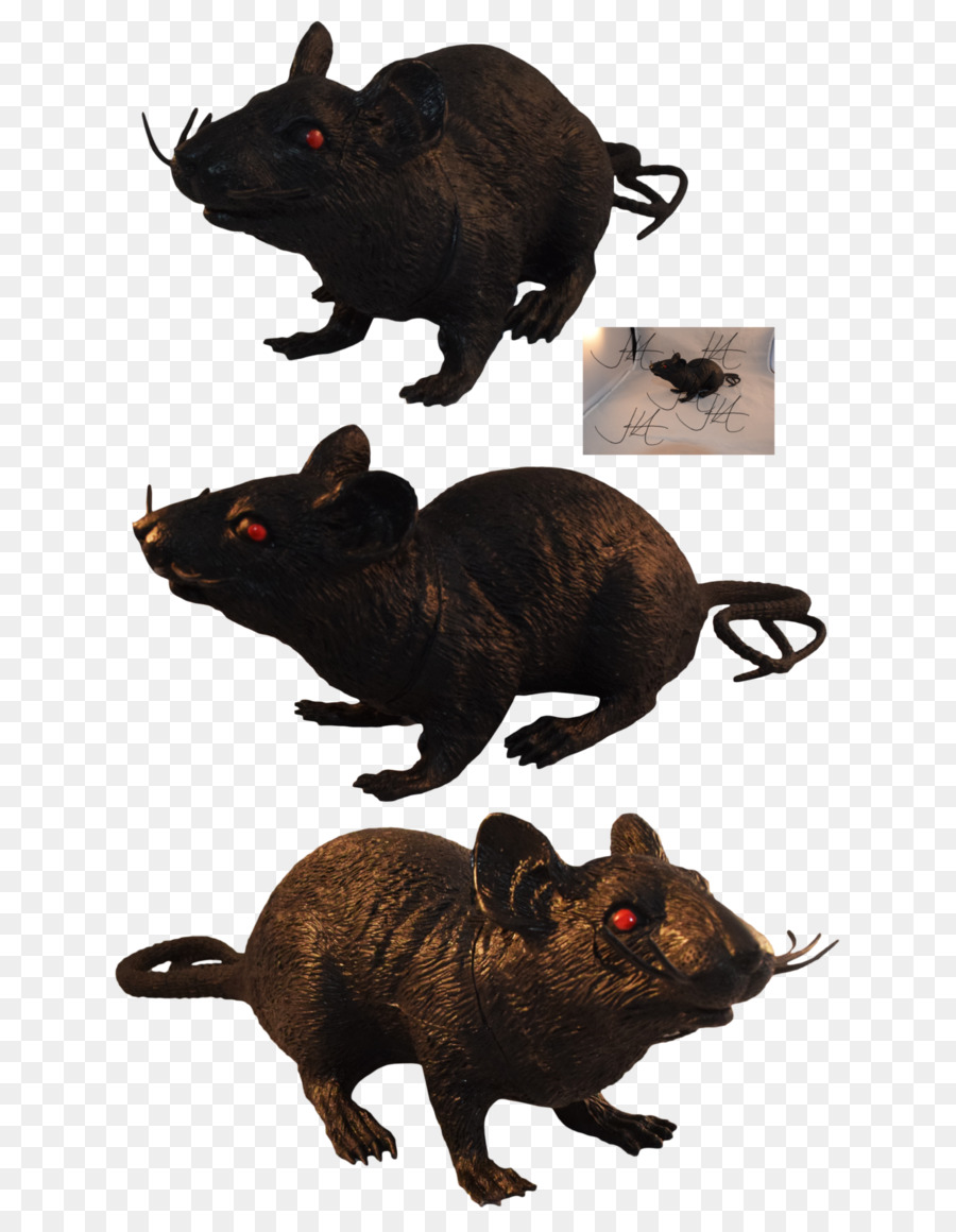 Maus Schwarze Ratte, die Gemeinsame opossum andalusischen Pferd - Maus