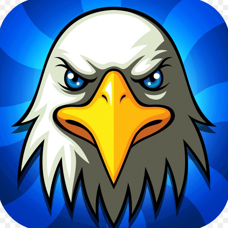 Eagle Drawing png download - 1024*1024 - Free Transparent Bald Eagle png  Download. - CleanPNG / KissPNG