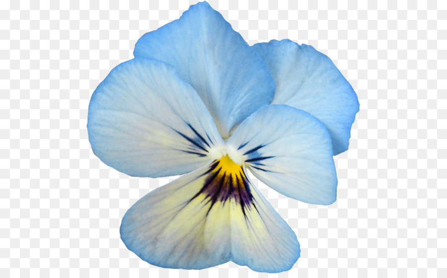 Pansy Flower Clip Art - Blume transparente bildvorschau.