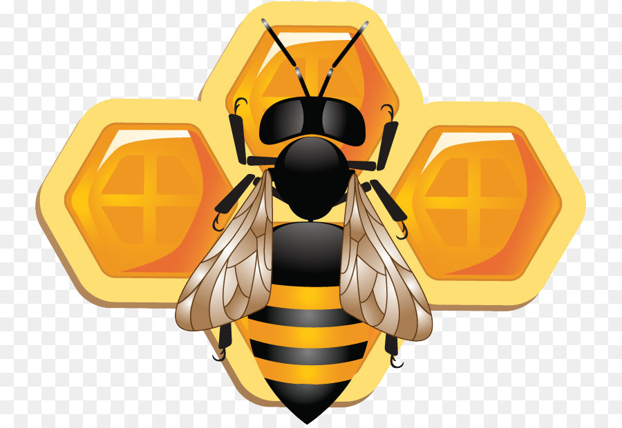 Honig Biene, Insekt, Wabe - Biene