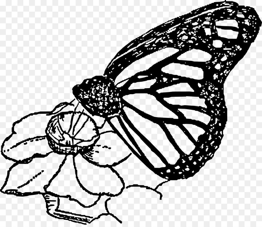 Monarch-Schmetterling-Linie Kunst-clipart - Schmetterling