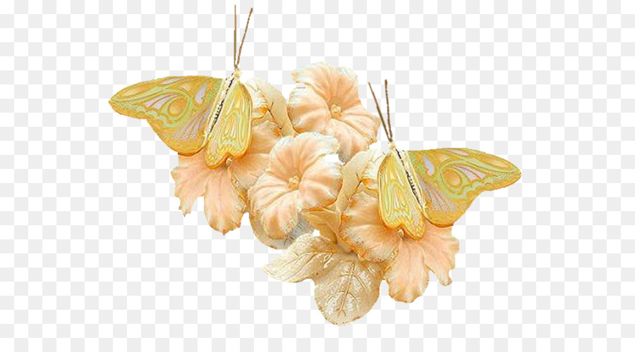 Farfalla, Insetto - farfalla