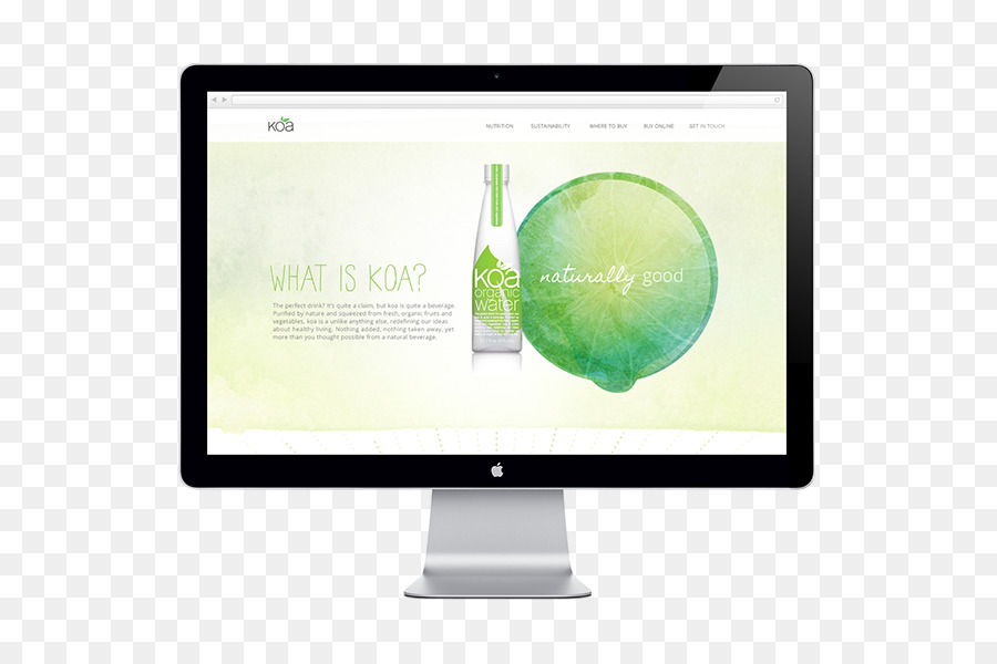 Microsito Web design - web design