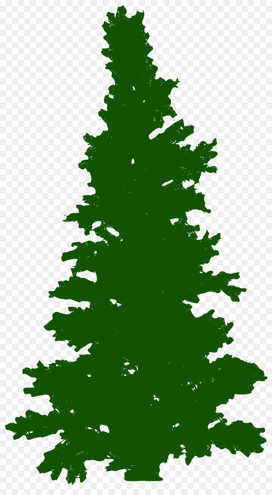 Weihnachtsbaum Kiefer Fichte - Baum