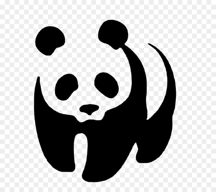 Giant panda Bear Stencil Fondo World Wide Fund for Nature - Orso