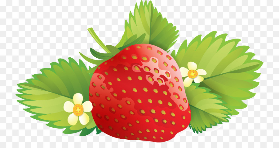Erdbeere clipart - Erdbeere