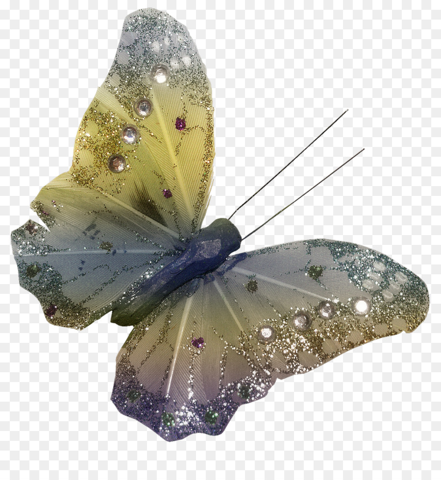 Butterfly PhotoScape Clip art - Schmetterling