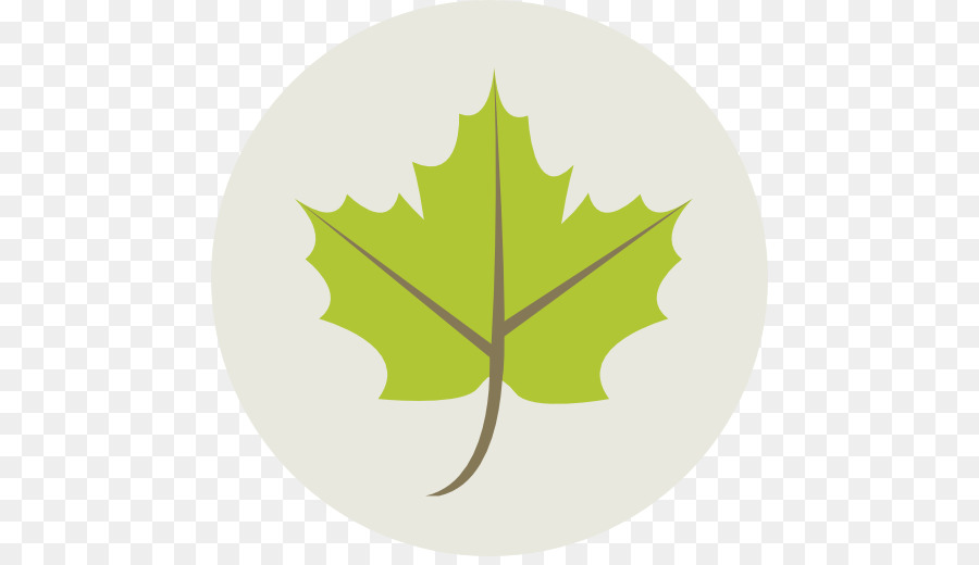 Maple leaf Computer-Icons Grün - Blatt